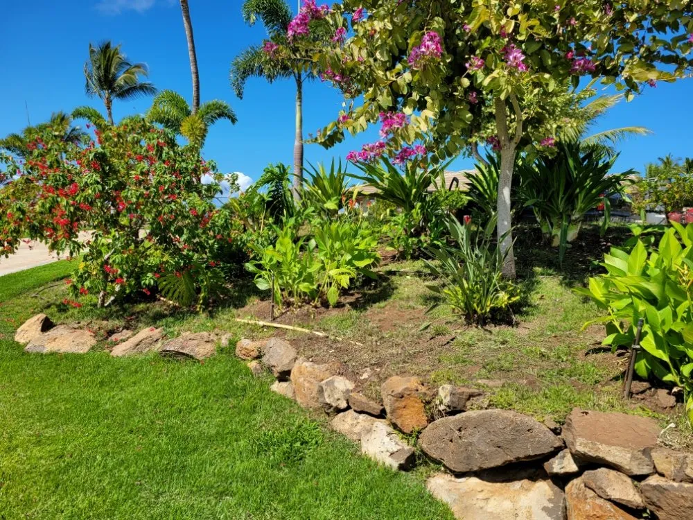 Top-rated yard maintenance near you in Makawao, HI by Rise and Shine Landscaping
