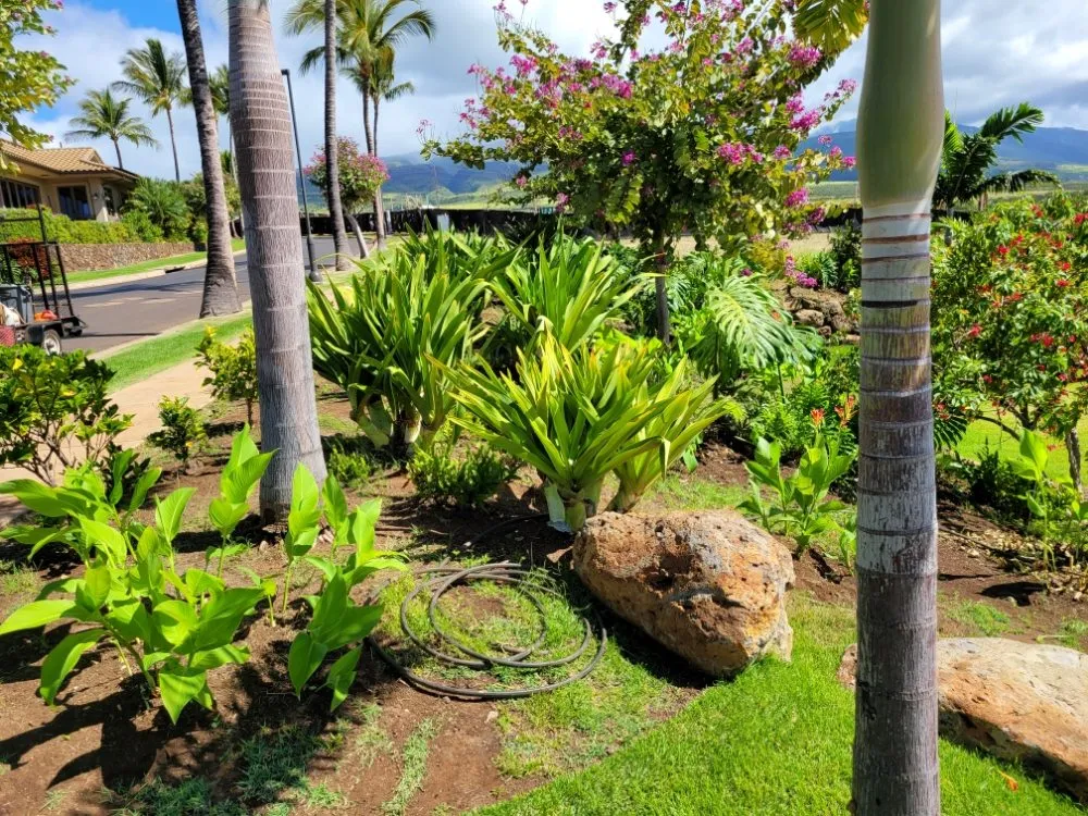 Affordable landscaping services in Makawao, HI by Rise and Shine Landscaping