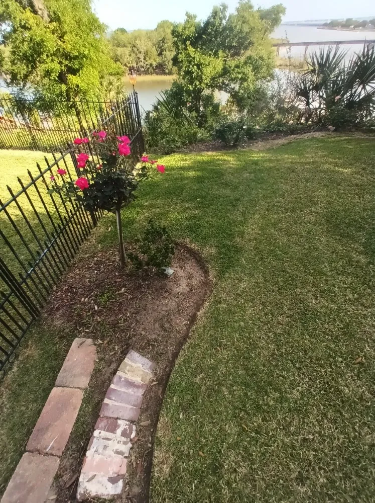 Local lawn care service for year-round maintenance in Pensacola, FL by Rise and Shine Lawn Design