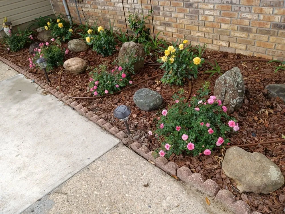 Affordable garden landscaping experts serving Pensacola, FL - Rise and Shine Lawn Design