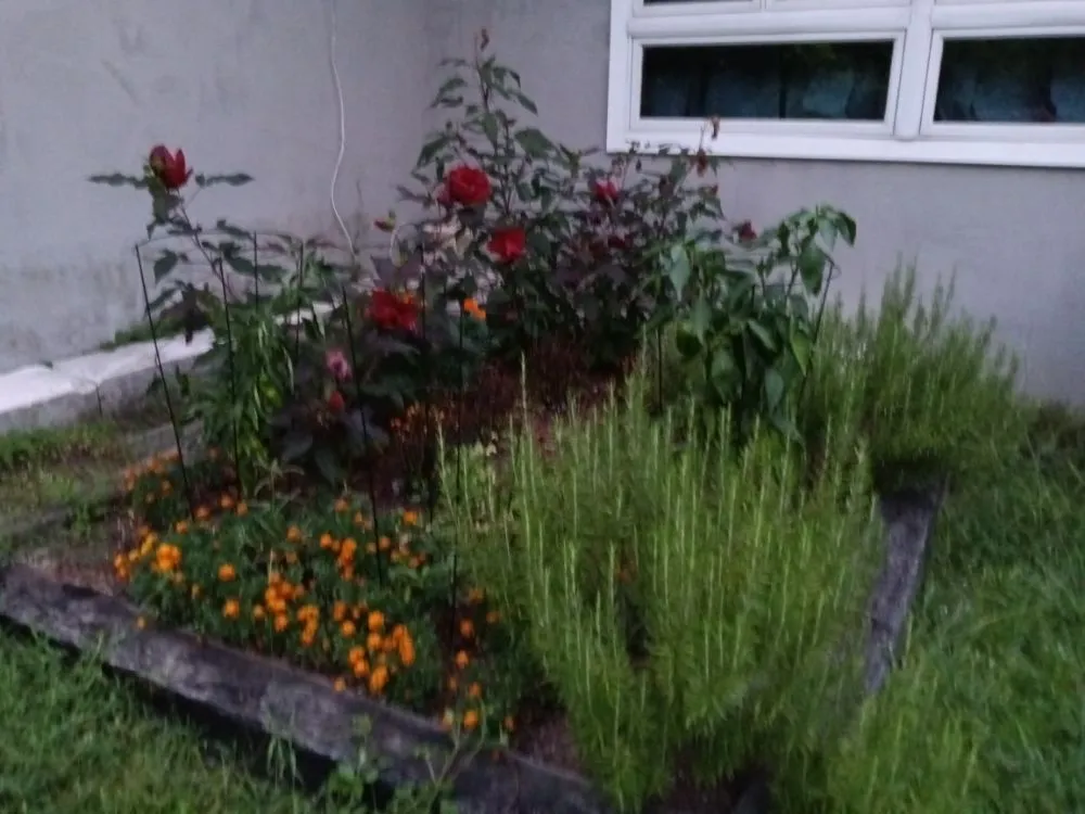 Local outdoor landscaping near you across Pensacola, FL - Rise and Shine Lawn Design