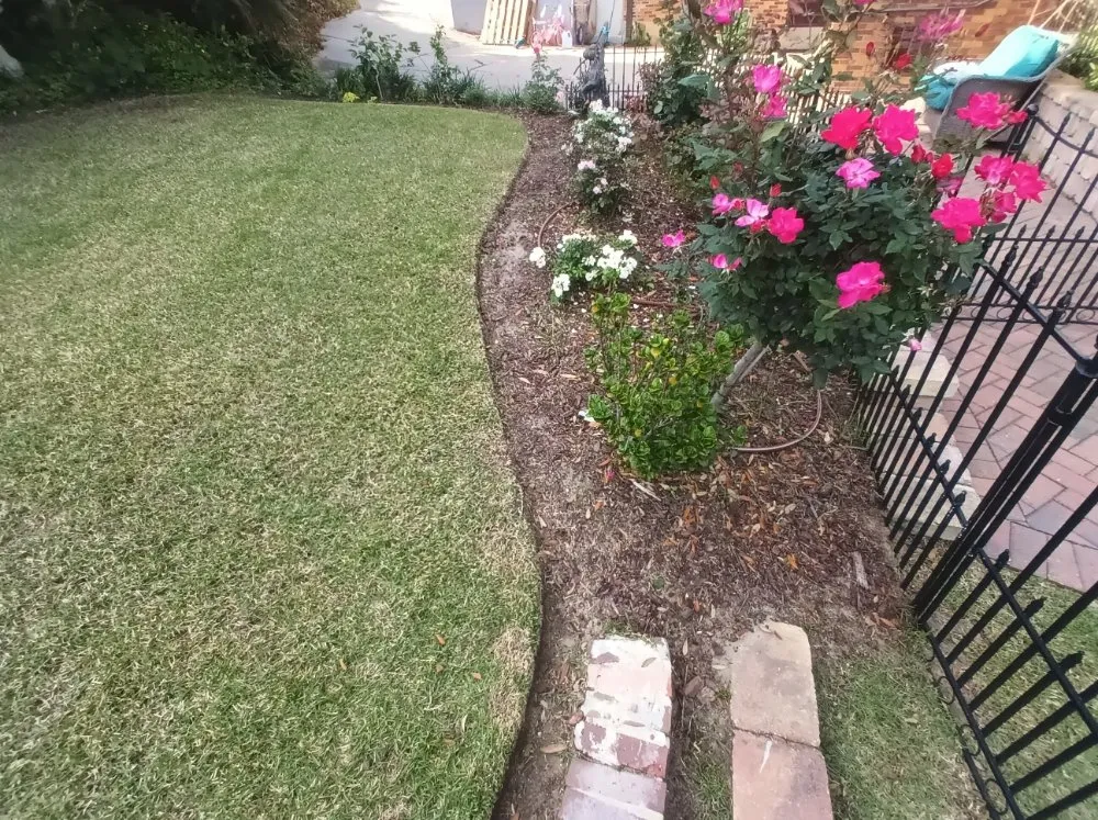 Trusted lawn care service experts serving Pensacola, FL - Rise and Shine Lawn Design