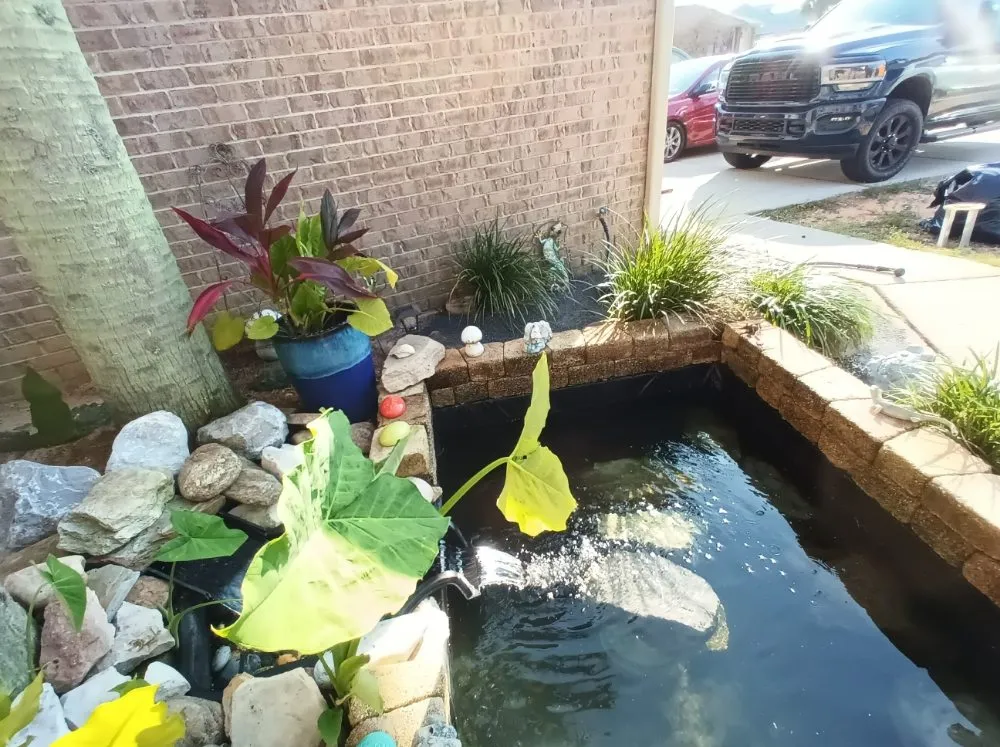 Local outdoor landscaping in Pensacola, FL - Rise and Shine Lawn Design