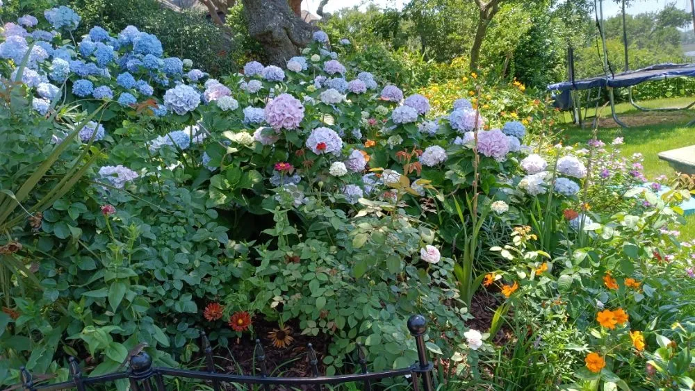 Reliable outdoor landscaping for residential properties across Pensacola, FL - Rise and Shine Lawn Design