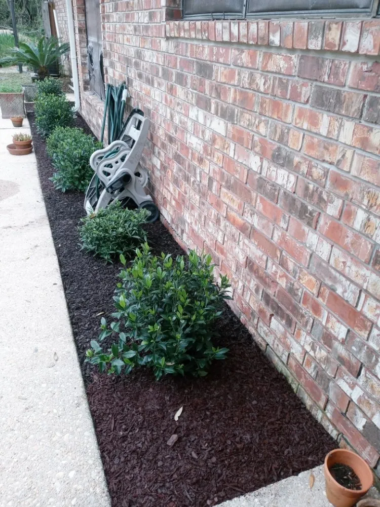 Expert outdoor landscaping for outdoor upgrades in Pensacola, FL by Rise and Shine Lawn Design