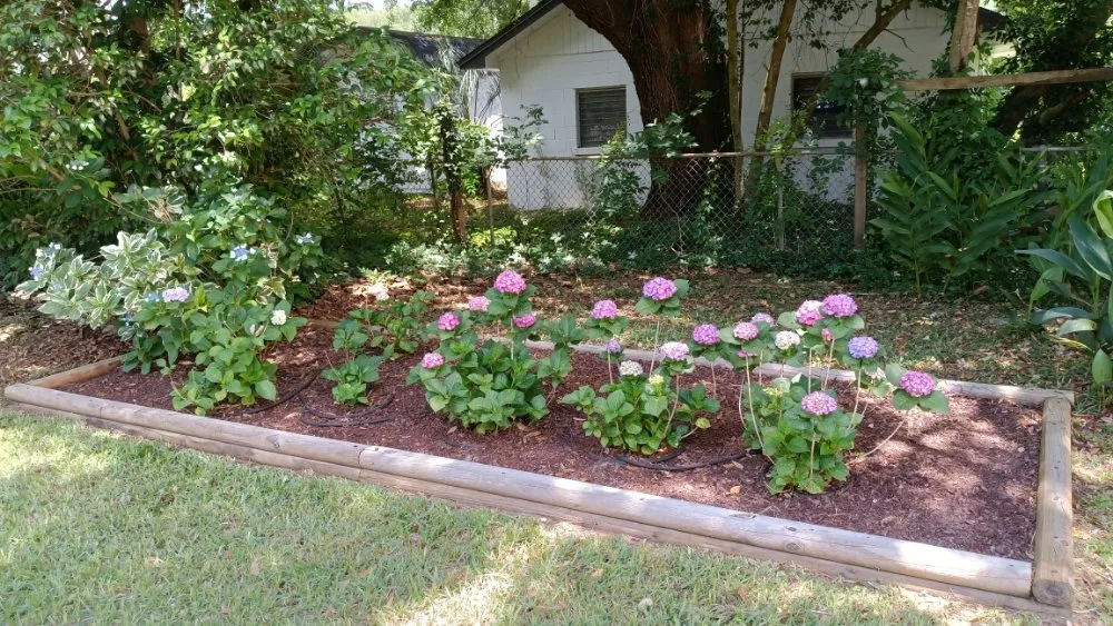 Professional yard maintenance experts serving Pensacola, FL - Rise and Shine Lawn Design
