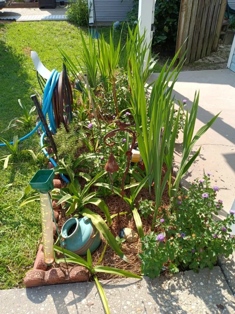 Expert residential landscaping for homes across Pensacola, FL - Rise and Shine Lawn Design