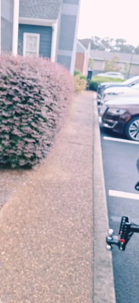 Top-rated yard maintenance in Lindale, GA by Rise And Shine