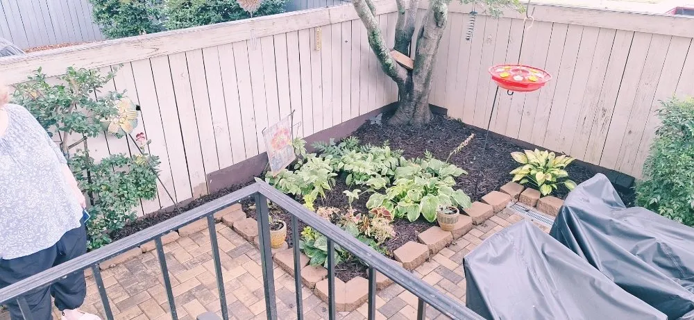 Trusted lawn care service in Lindale, GA by Rise And Shine