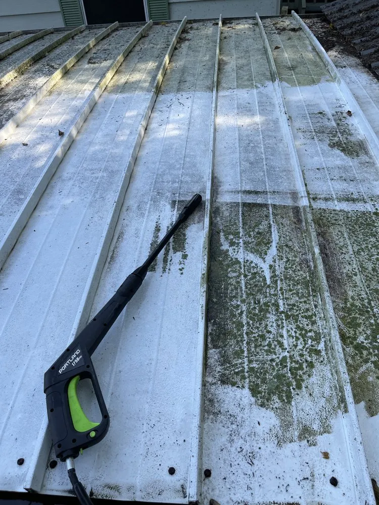 Expert yard maintenance for beautiful yards across Battle Creek, MI - Rise N Shine