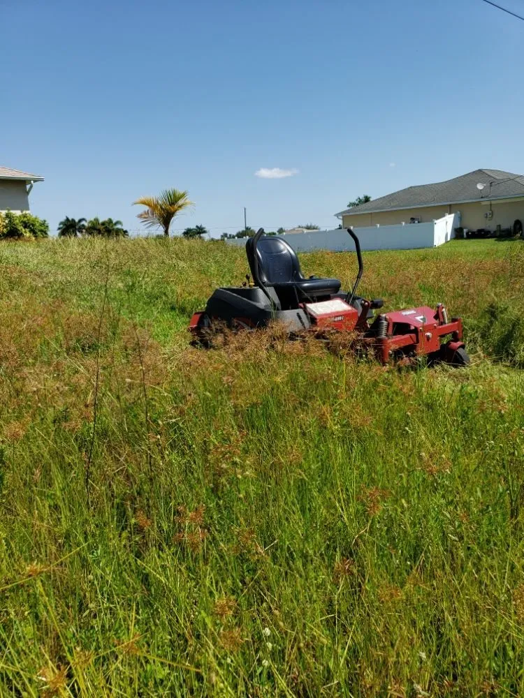 Affordable outdoor landscaping experts serving Cape Coral, FL - Rise N Shine Lawn Service