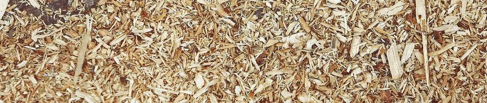 Top-rated residential landscaping in Elkhorn, NE by Rise Up Landscaping