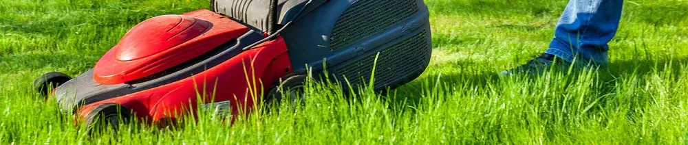 Local outdoor landscaping in Elkhorn, NE by Rise Up Landscaping