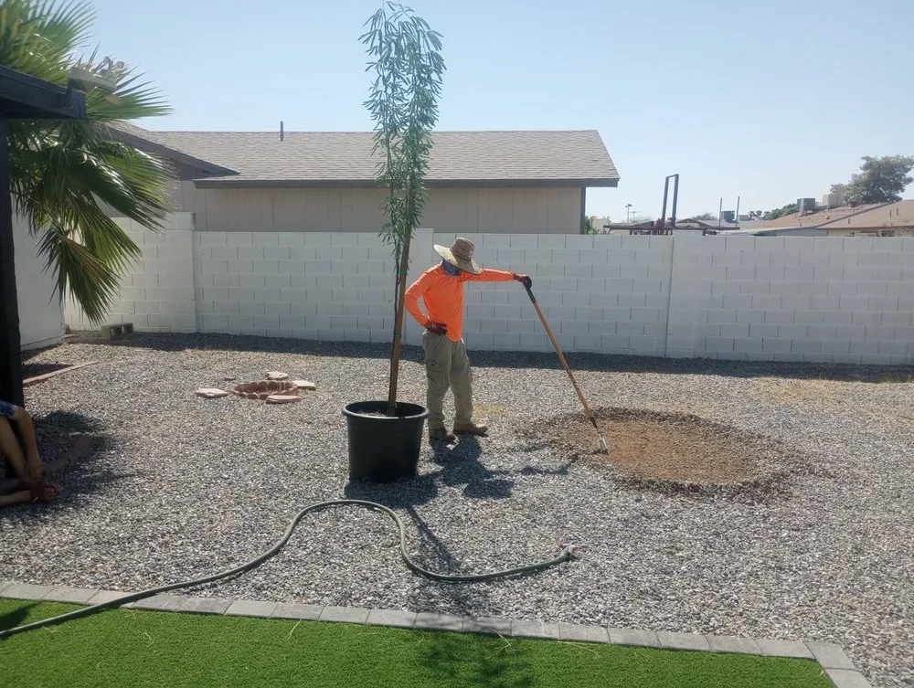 Custom outdoor landscaping for homes across Glendale, AZ - Risen Kings Tree & Landscape Co