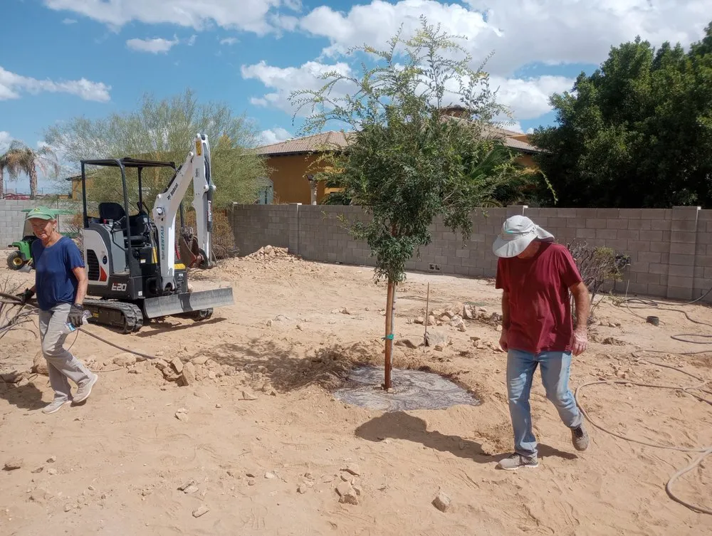 Custom residential landscaping for homes across Glendale, AZ - Risen Kings Tree & Landscape Co
