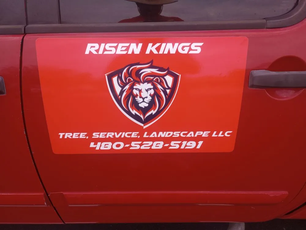 Expert outdoor landscaping for residential properties across Glendale, AZ - Risen Kings Tree & Landscape Co