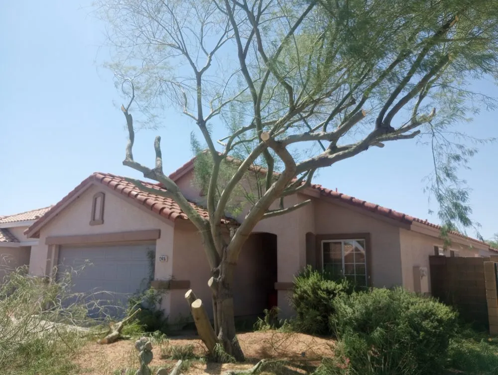 Top-rated landscape design in Glendale, AZ by Risen Kings Tree & Landscape Co