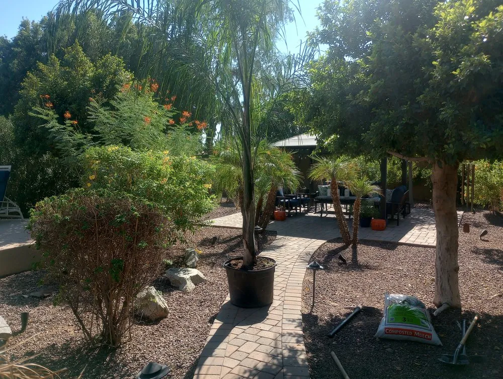 Top-rated landscape installation experts serving Glendale, AZ - Risen Kings Tree & Landscape Co