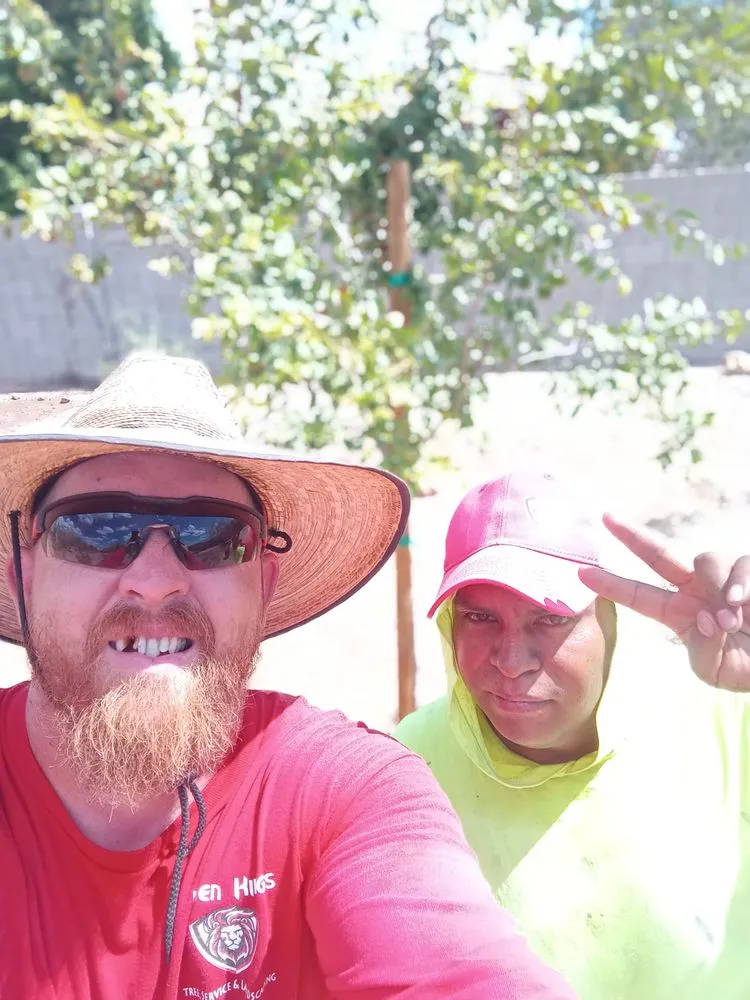 Trusted landscape design with custom design in Glendale, AZ by Risen Kings Tree & Landscape Co