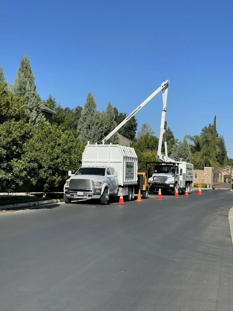 Expert landscape installation with custom design in Hanford, CA by Rising Green