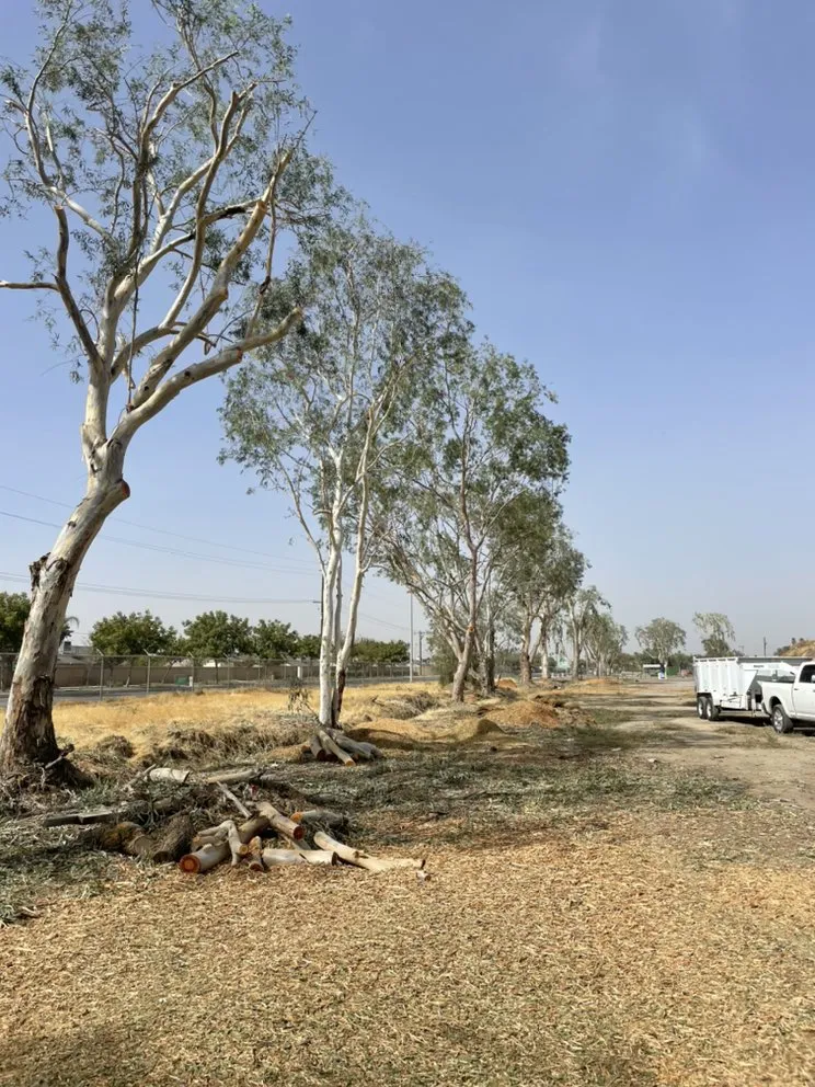 Affordable yard maintenance for beautiful yards across Hanford, CA - Rising Green