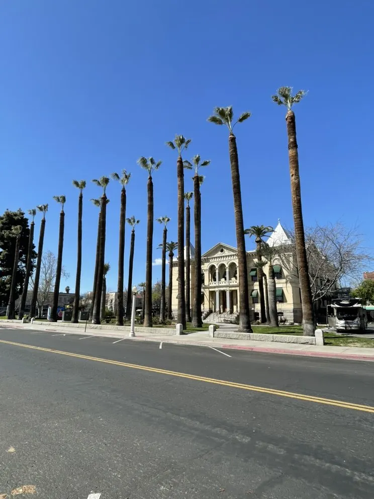 Top-rated landscape installation with custom design in Hanford, CA by Rising Green