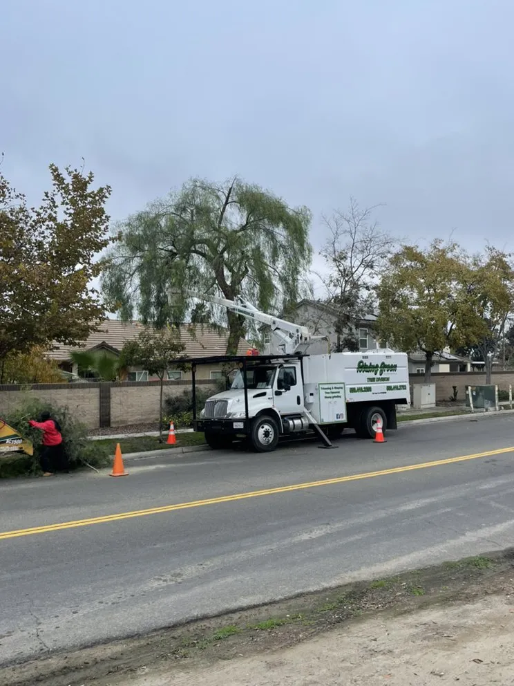 Top-rated garden landscaping experts serving Hanford, CA - Rising Green