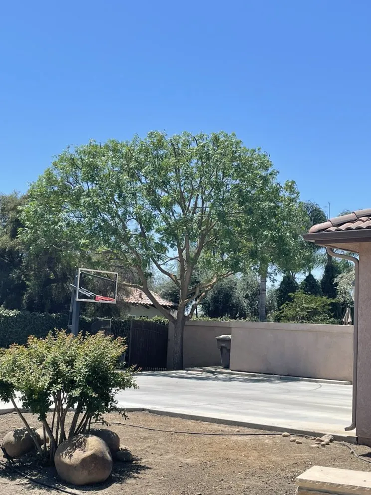 Trusted lawn care service for beautiful yards across Hanford, CA - Rising Green