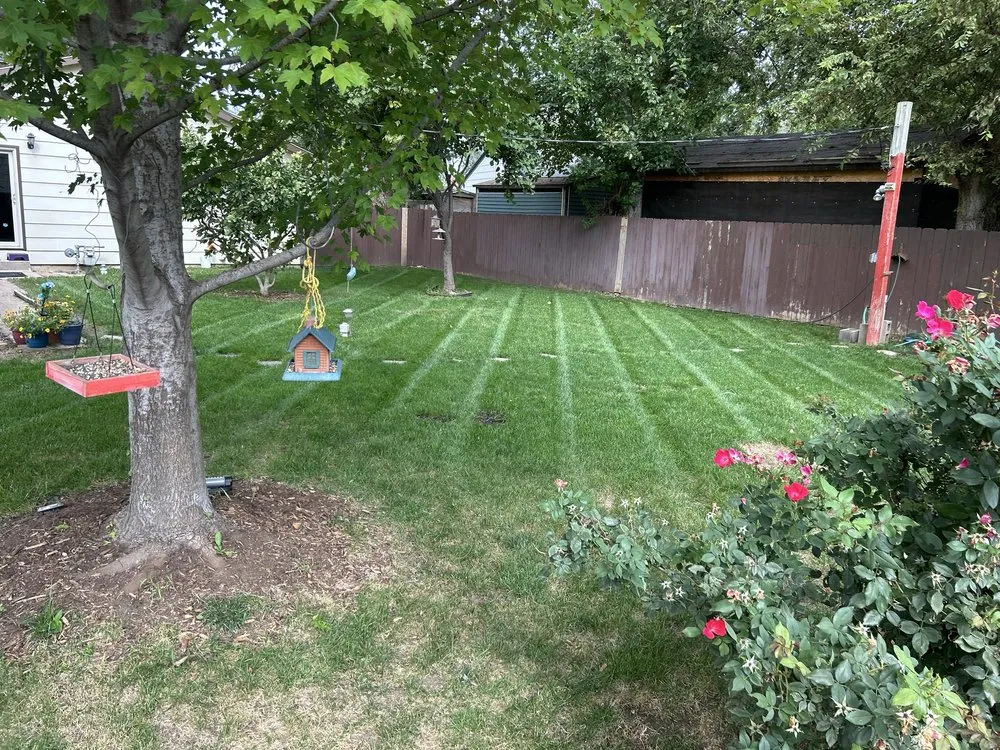 Local outdoor landscaping in Wichita, KS - Rising Lawn Care