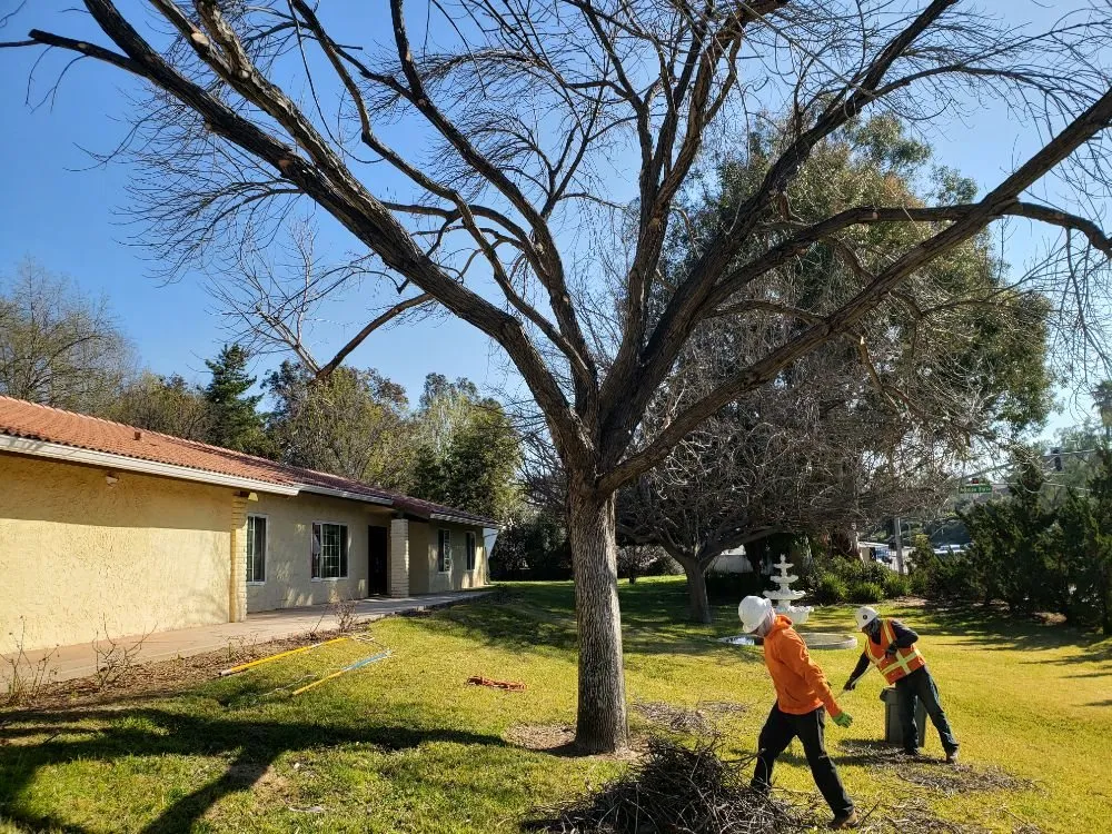 Affordable lawn mowing service for residential properties across Escondido, CA - Rising Oak Tree Service & Landscaping