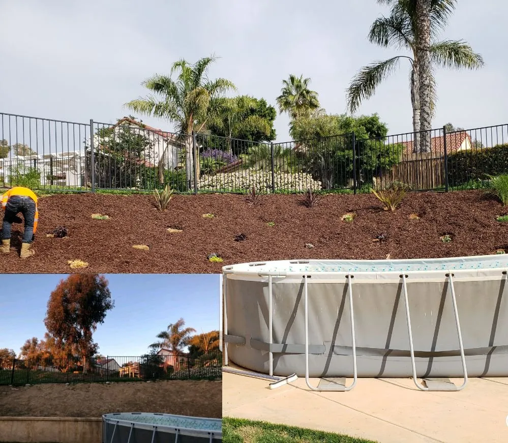 Professional lawn mowing service in Escondido, CA by Rising Oak Tree Service & Landscaping