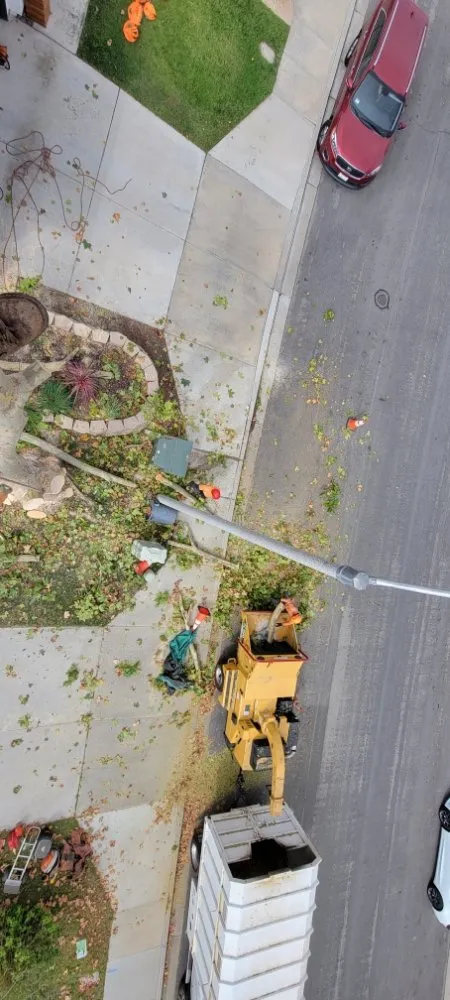 Professional garden landscaping experts serving Escondido, CA - Rising Oak Tree Service & Landscaping