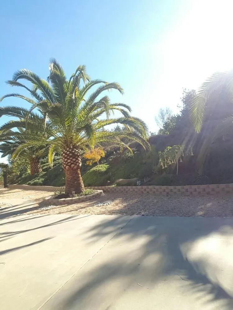 Local lawn care service in Escondido, CA - Rising Oak Tree Service & Landscaping