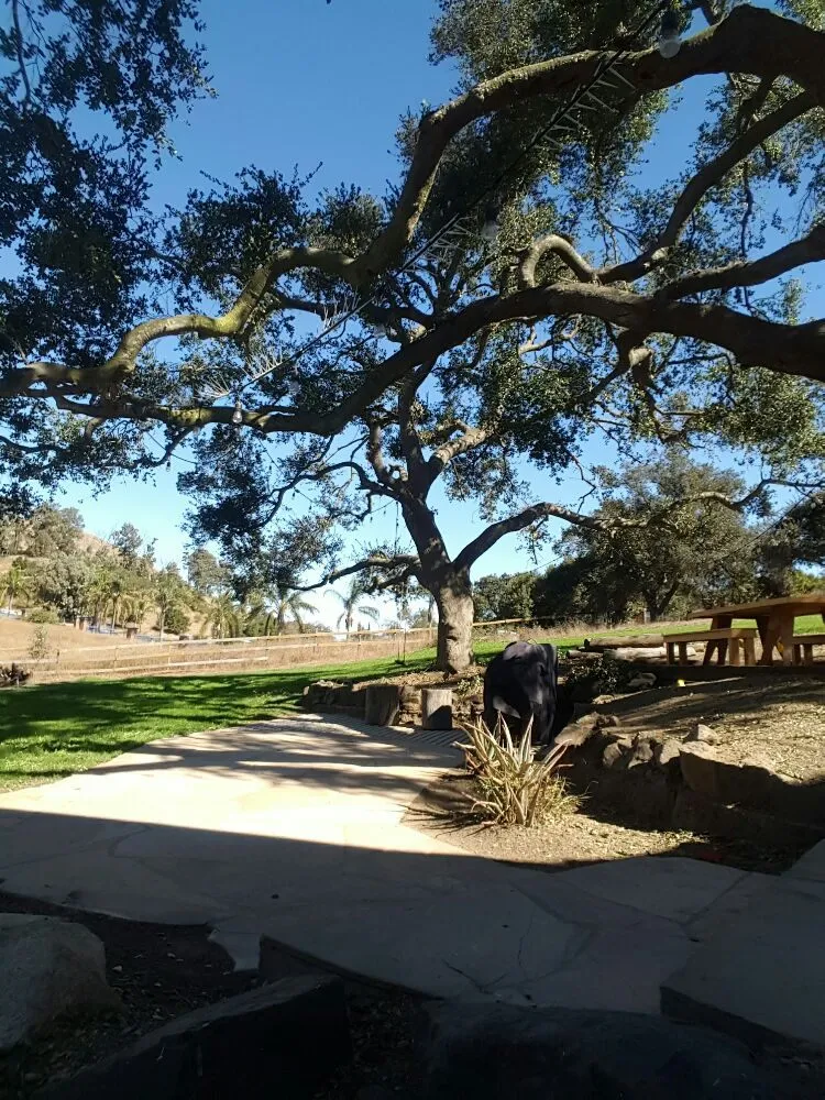 Local landscape installation in Escondido, CA - Rising Oak Tree Service & Landscaping