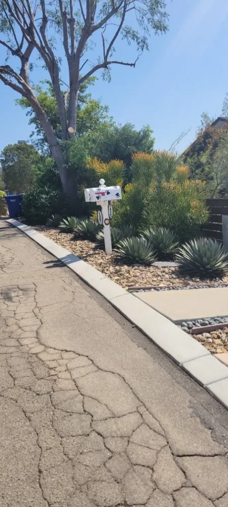 Trusted yard cleanup service for year-round maintenance in Escondido, CA by Rising Oak Tree Service & Landscaping