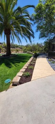 Rising Oak Tree Service & Landscaping Logo