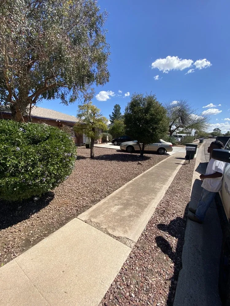 Professional garden landscaping in Tucson, AZ - Rising Sons Yard Services