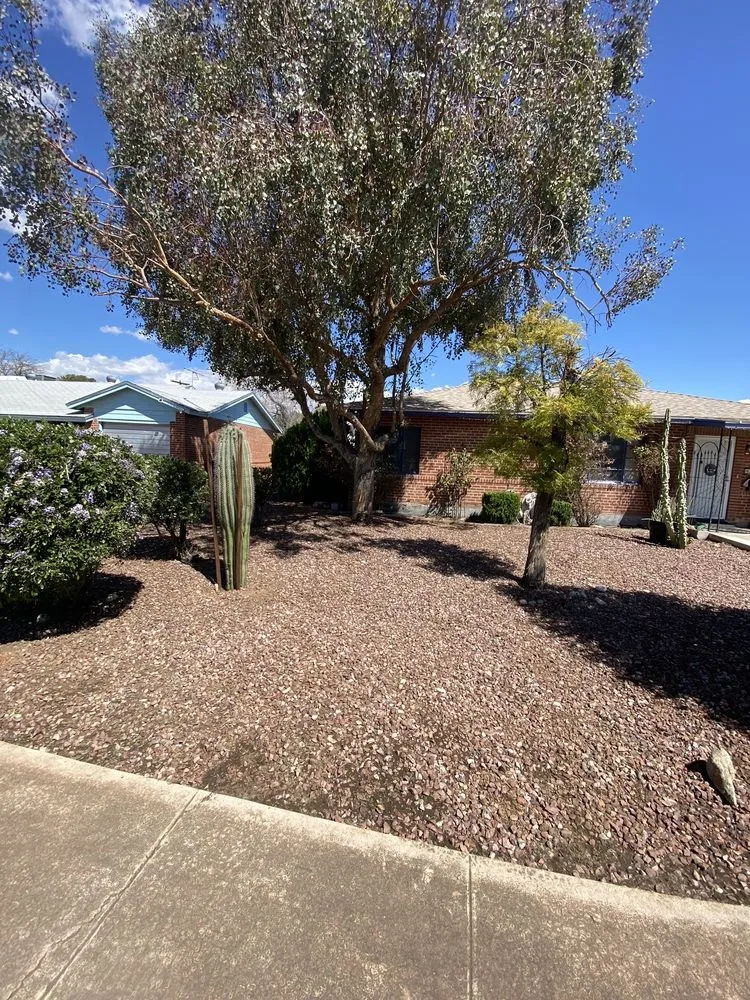 Local outdoor landscaping near you across Tucson, AZ - Rising Sons Yard Services