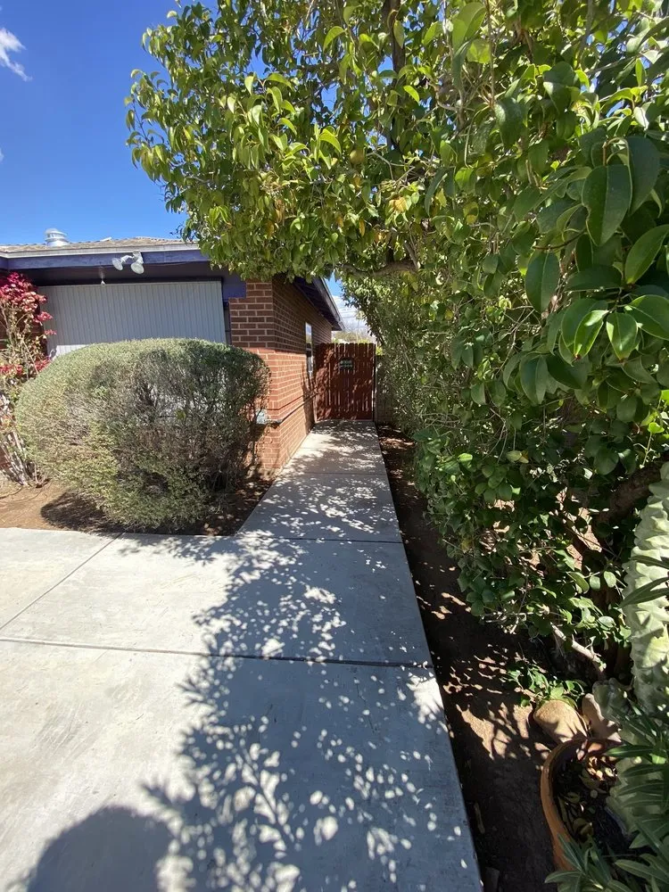 Expert landscape installation for beautiful yards across Tucson, AZ - Rising Sons Yard Services