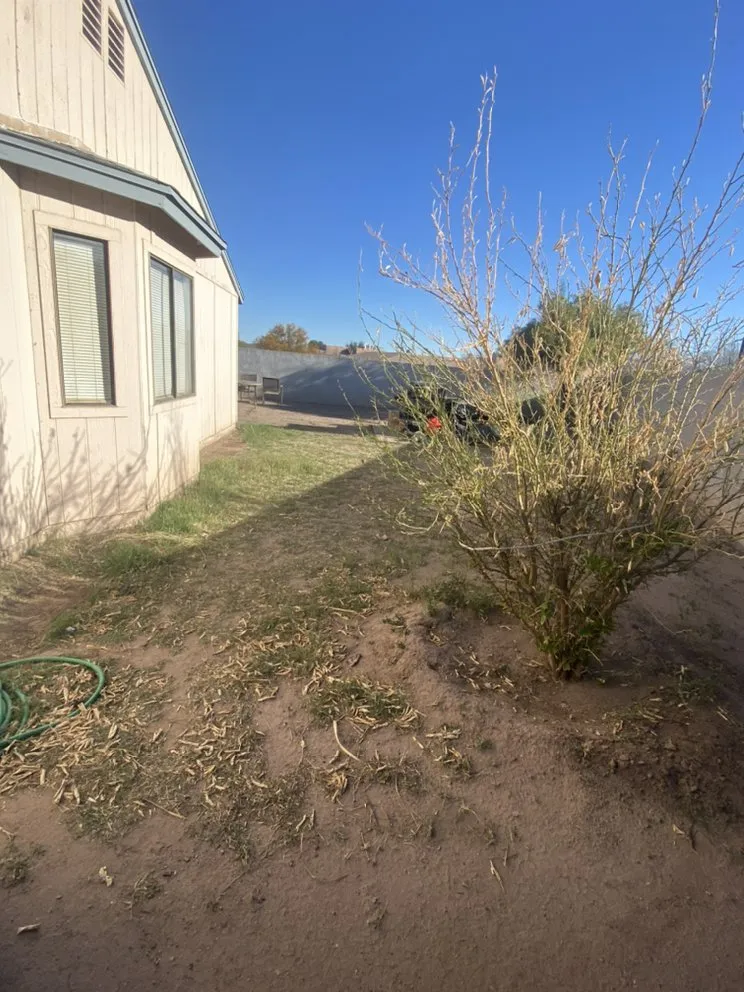 Custom landscape installation in Tucson, AZ by Rising Sons Yard Services