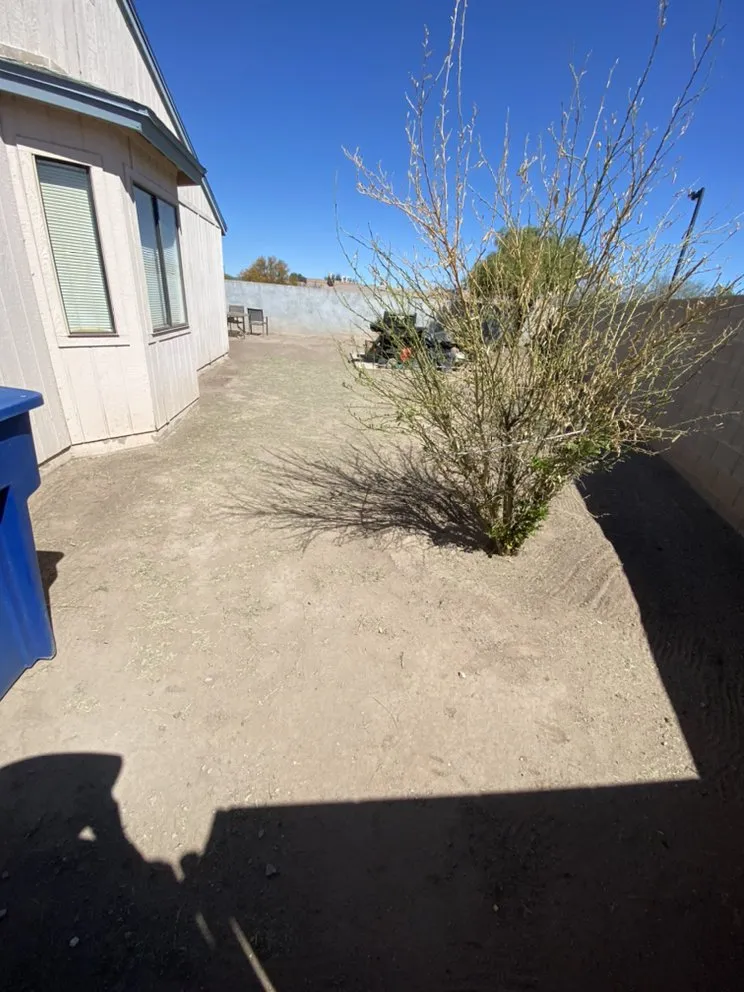 Reliable residential landscaping near you in Tucson, AZ by Rising Sons Yard Services