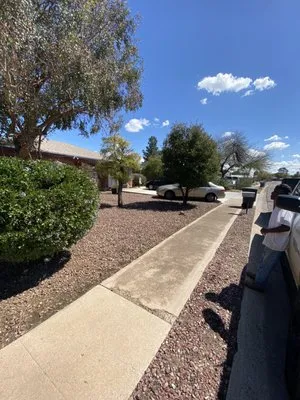 Rising Sons Yard Services Logo