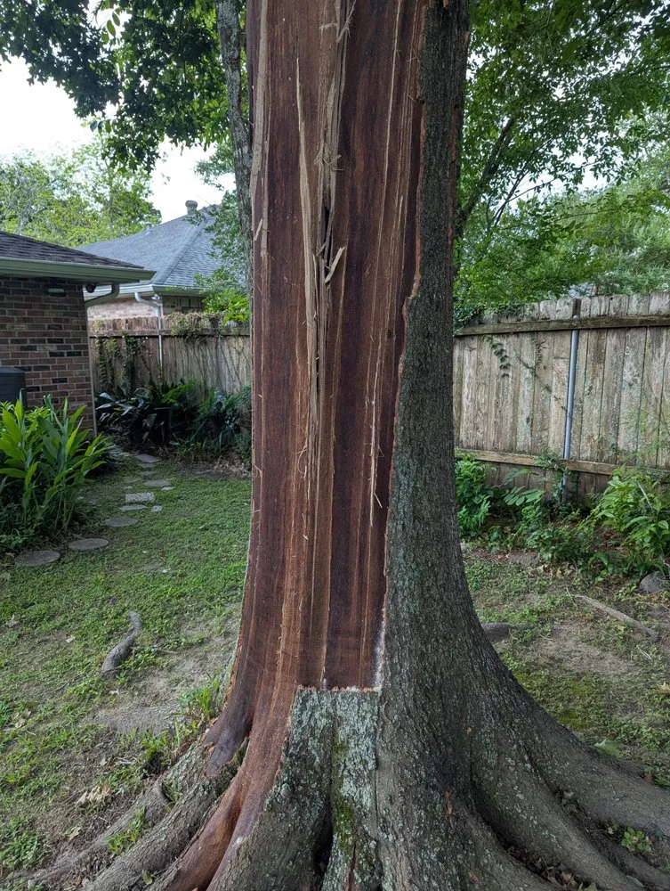 Local outdoor landscaping in Kenner, LA - Risk Tree Service