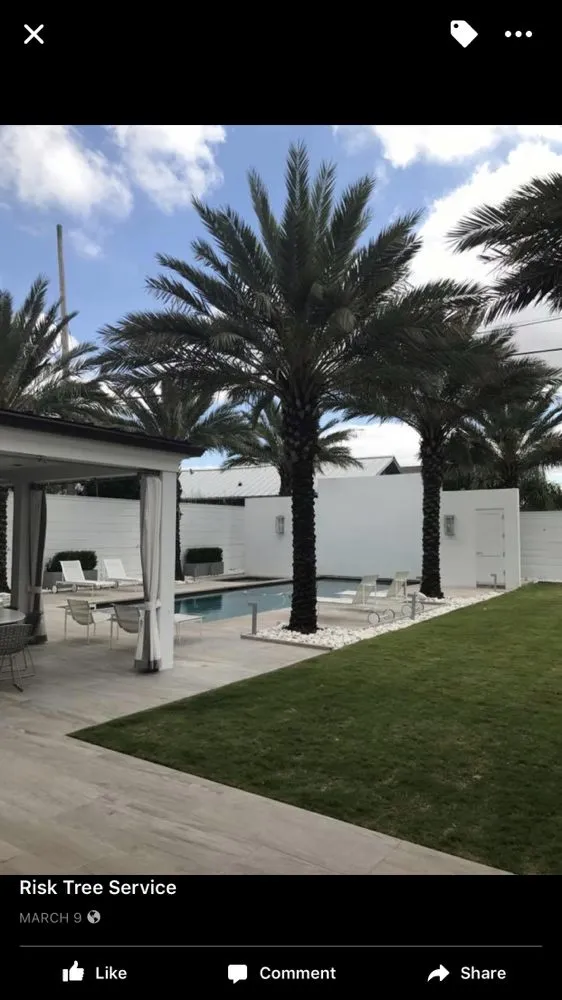 Expert landscape design for year-round maintenance across Kenner, LA - Risk Tree Service