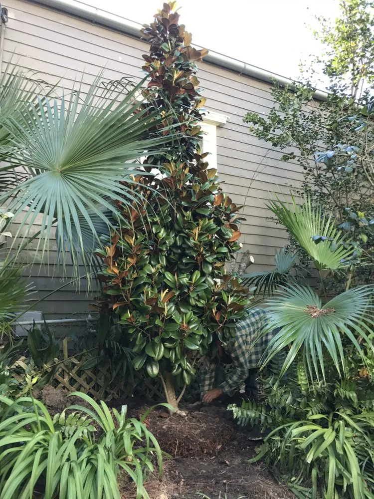 Local outdoor landscaping in Kenner, LA by Risk Tree Service
