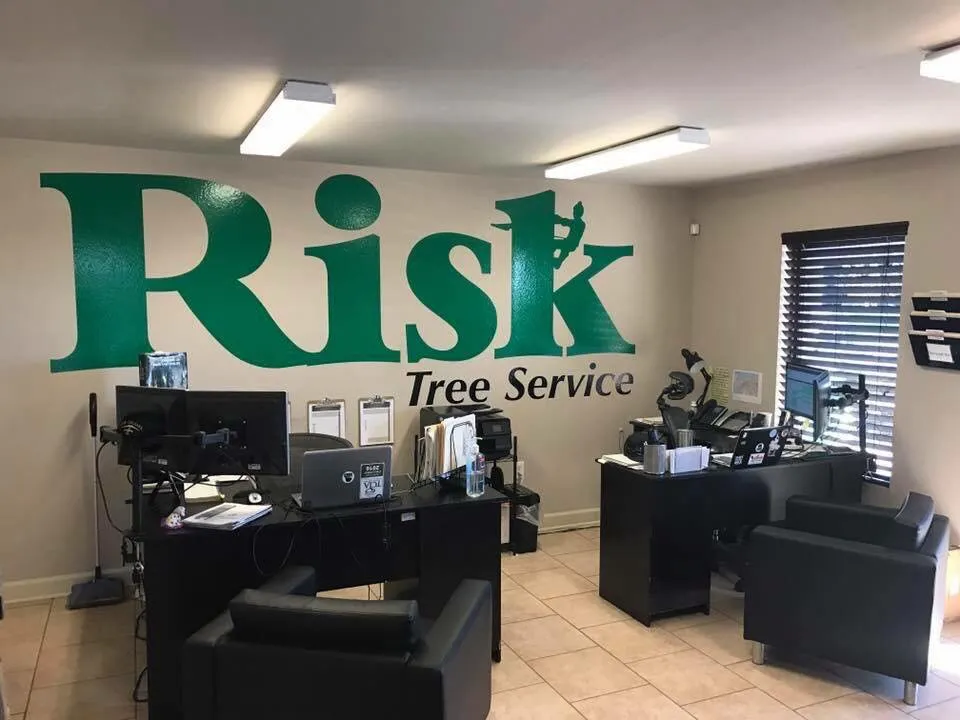 Reliable yard maintenance experts serving Kenner, LA - Risk Tree Service