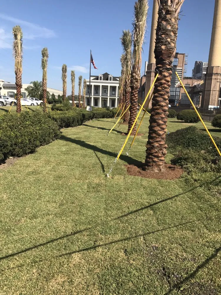 Affordable landscaping services with custom design across Kenner, LA - Risk Tree Service