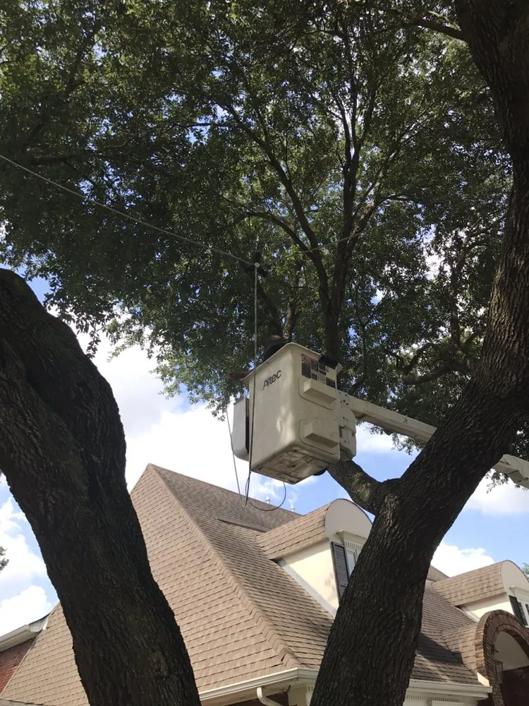 Top-rated landscape design in Kenner, LA - Risk Tree Service