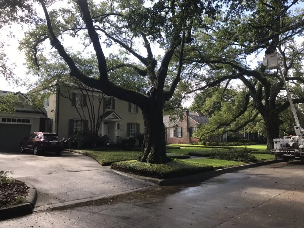 Reliable landscape installation in Kenner, LA - Risk Tree Service