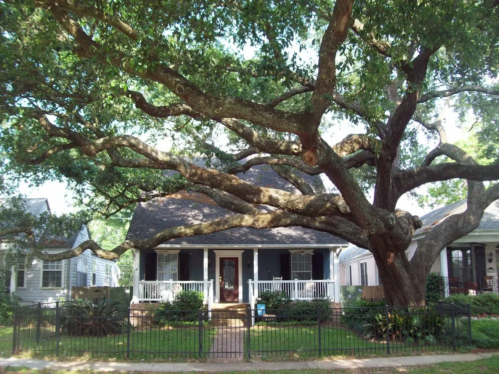 Expert garden landscaping in Kenner, LA by Risk Tree Service